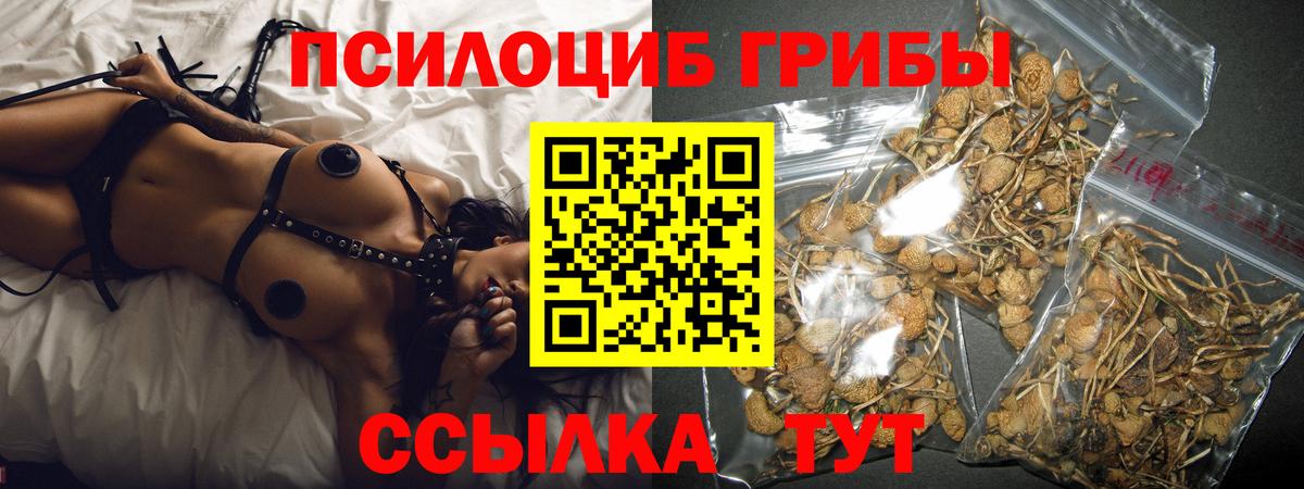 Галлюциногенные грибы MAGIC MUSHROOMS  закладка  Тула  Вход с VPN  Псилоцибиновые грибы Psilocybine cubensis 