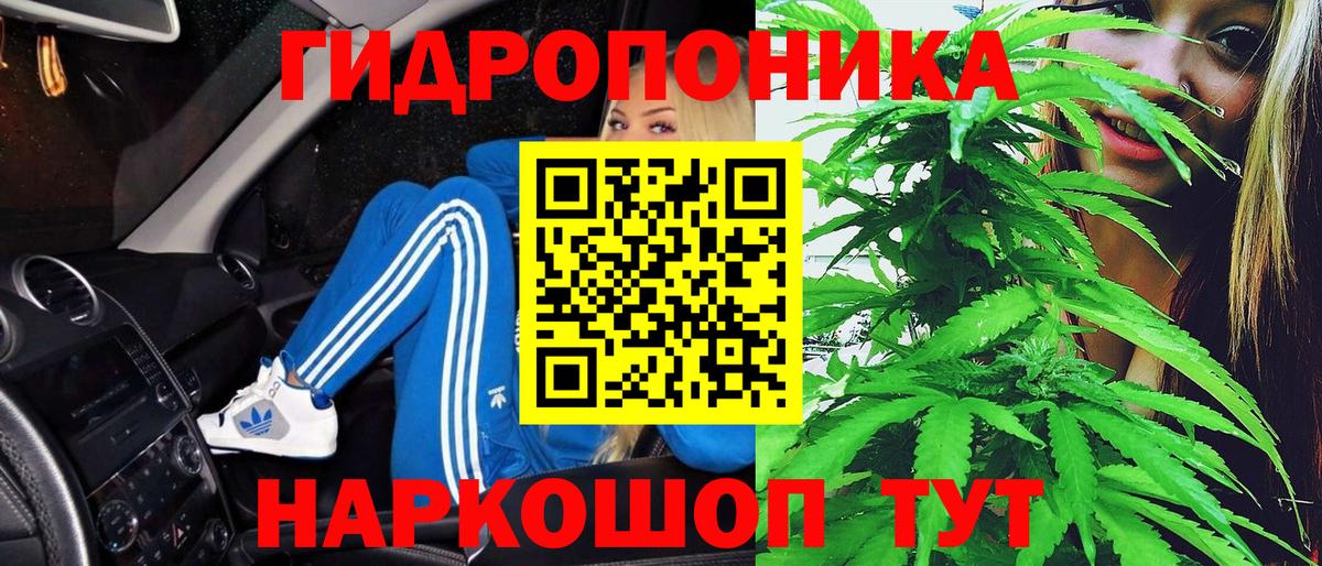 Тула  Бошки Шишки AK-47  Каннабис ГИДРОПОН  МАРИХУАНА семена  Вход с VPN  Бошки Шишки семена 